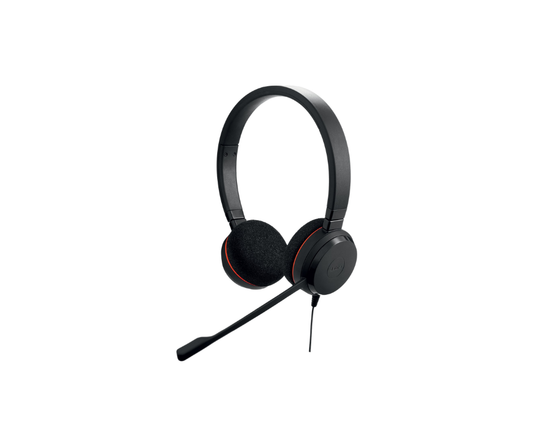 Jabra Evolve 20 MS USB